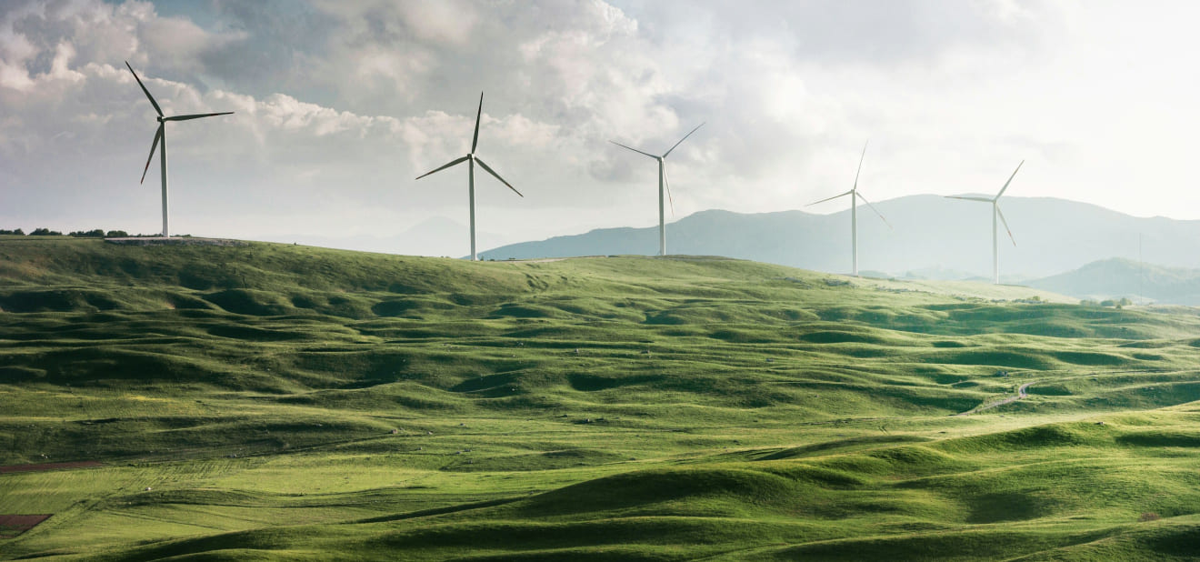 Harmonics and Counterpoint