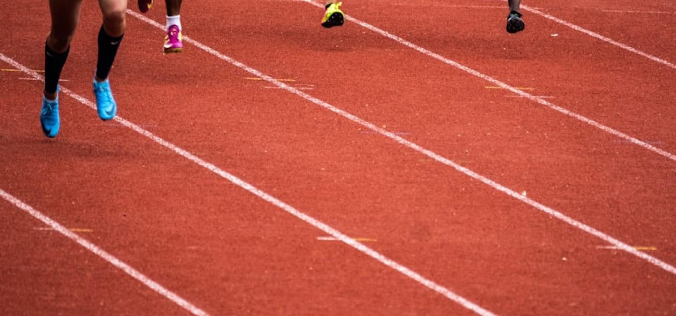 Introduction to Linguistic Theory